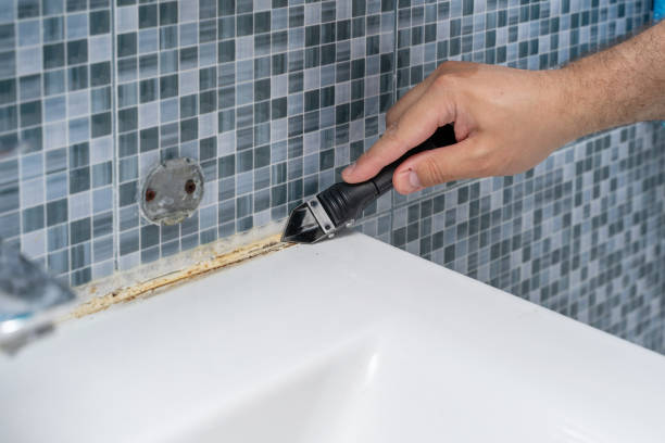 Best Affordable Mold Removal  in Hudson Lake, IN